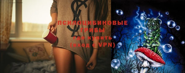 тгк Ладушкин