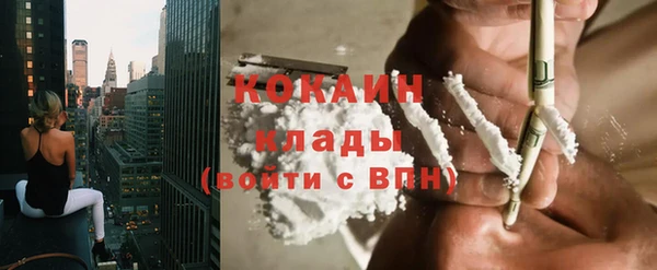тгк Ладушкин