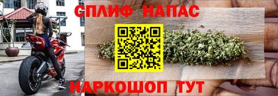 хмурый Гусь-Хрустальный