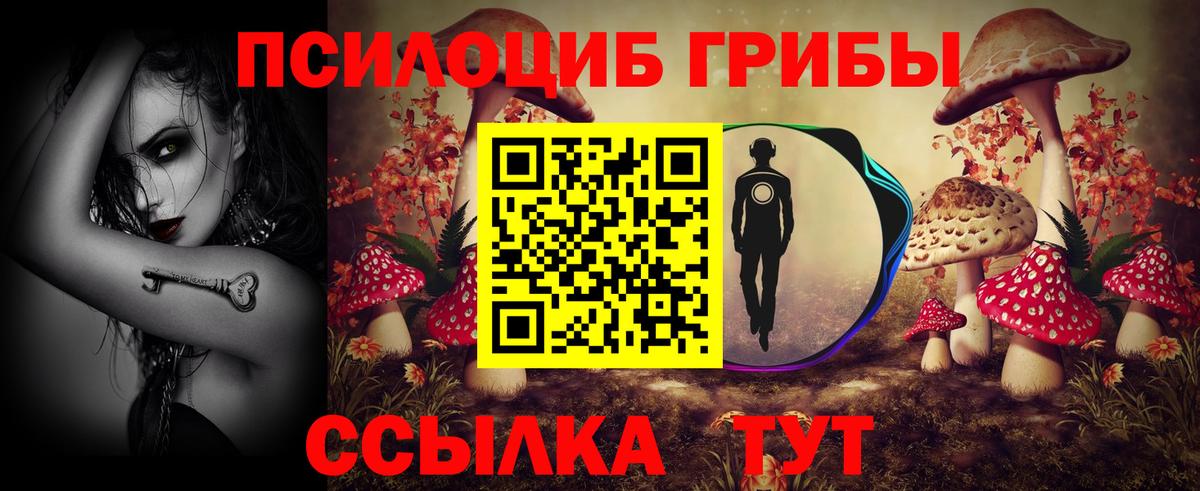 Псилоцибиновые грибы мицелий  Вход с VPN  Старый Оскол 