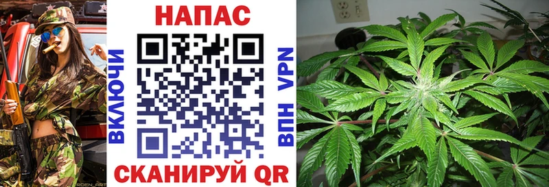 Бошки марихуана гибрид  Старый Оскол 